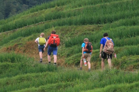 Avis groupe Pasture Chine