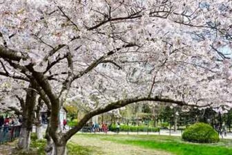 Shandong - 山东省