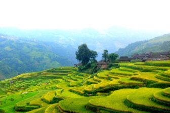 Rice fields of Jiabang - 加榜梯田