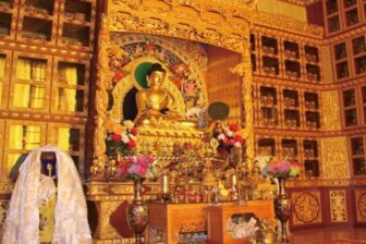 Museum of Tibetan Medicine - 藏文化博物馆